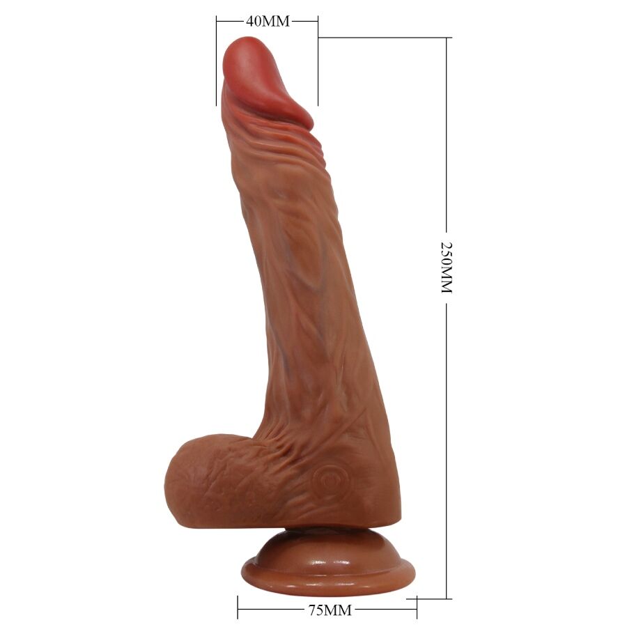BAILE - CALISTO GODE RÉALISTE 24 CM
